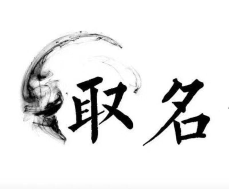  嘉荫宝宝取名 大师一对一人工起名